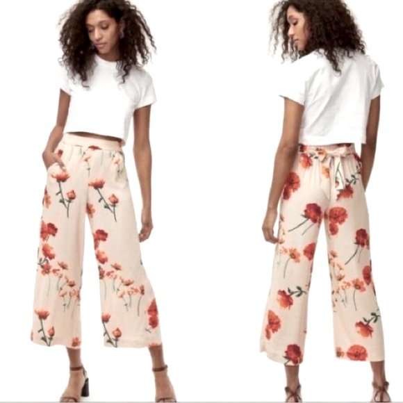 Aritzia Pants - Wilfred Floral Faun Pants